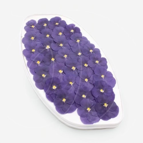 Виола обезвоженная "Черничная магия" Плоская 20 шт 