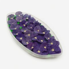 Виола обезвоженная "Голубая жемчужина" Объёмная 15 шт 