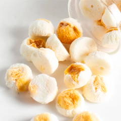 Манго сублимированный Шарики в йогурте 25 г 00038